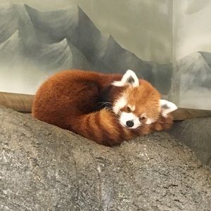 Meet your Posher, Kaitlyn